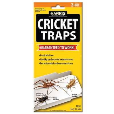 Glue Trap - Crickets - The Home Depot