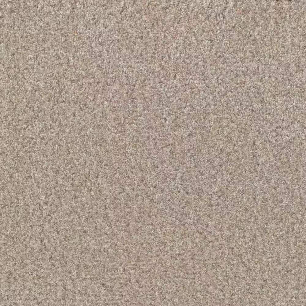8 in. x 8 in. Texture Carpet Sample-Manuscript III-Color Draft price history on PriceWatchPro