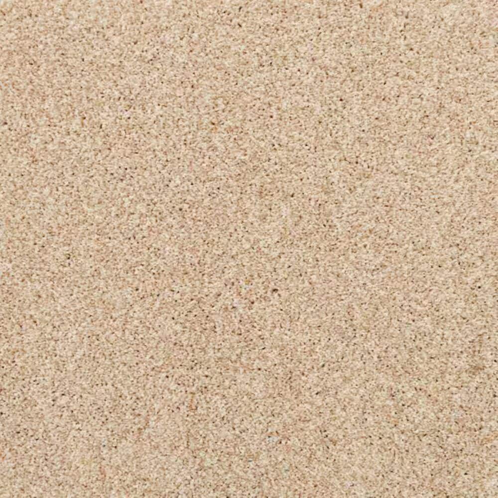 8 in. x 8 in. Texture Carpet Sample-Magalynn I-Color Sunset price history on PriceWatchPro