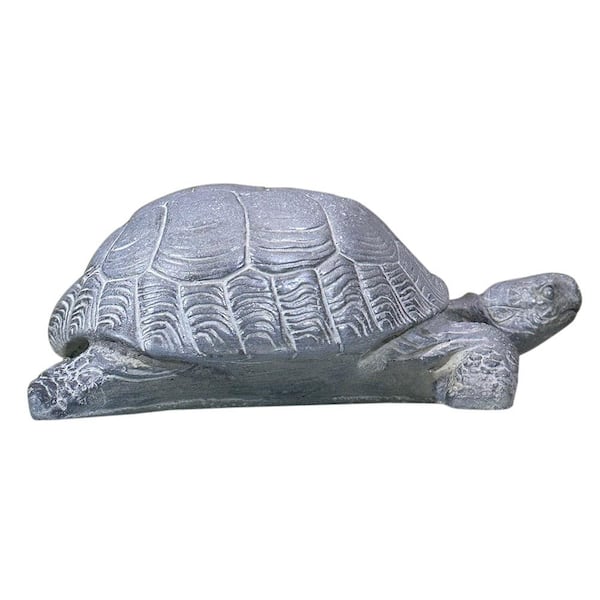 House Parts Turtle