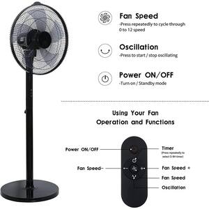 14.5 in. 12 fan speeds Pedestal Fan in Black with Remote Control, 90 Degree Horizontal Oscillating, 9 Hours Timer