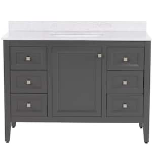 Darcy 49 in. W x 22 in. D x 39 in. H Single Sink Freestanding Bath Vanity in Shale Gray with Pulsar Cultured Marble Top