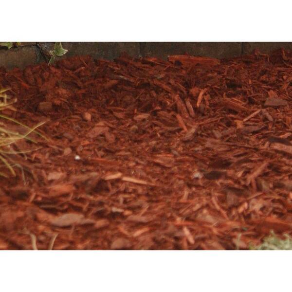 COLORBACK 1/2 Gallon Red Mulch Color Solution - Concentrated Pine Needle & Mulch  Dye for Vibrant Landscapes - Restores Faded Mulch, Saves Time & Money in  the Pine Needle & Mulch Dyes