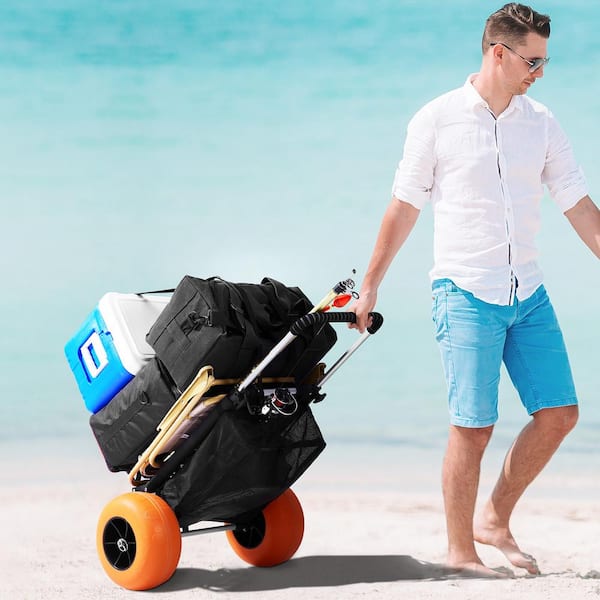 Baby fashion beach cart