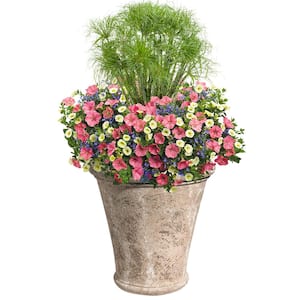 Preston 20 in. Natural LavaStone Planter