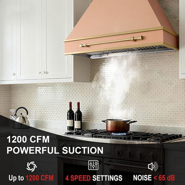 Akicon Akicon 42 in. 1200 CFM Ducted Stainless Steel Range Hood