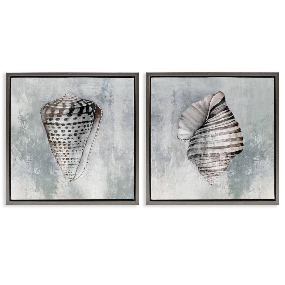 Grey Distressed Cowrie Shells by Eli Jones 2-Pieces Gray Floater Frame Coastal Graphic Art Print 25 in. x 25 in. price history on PriceWatchPro