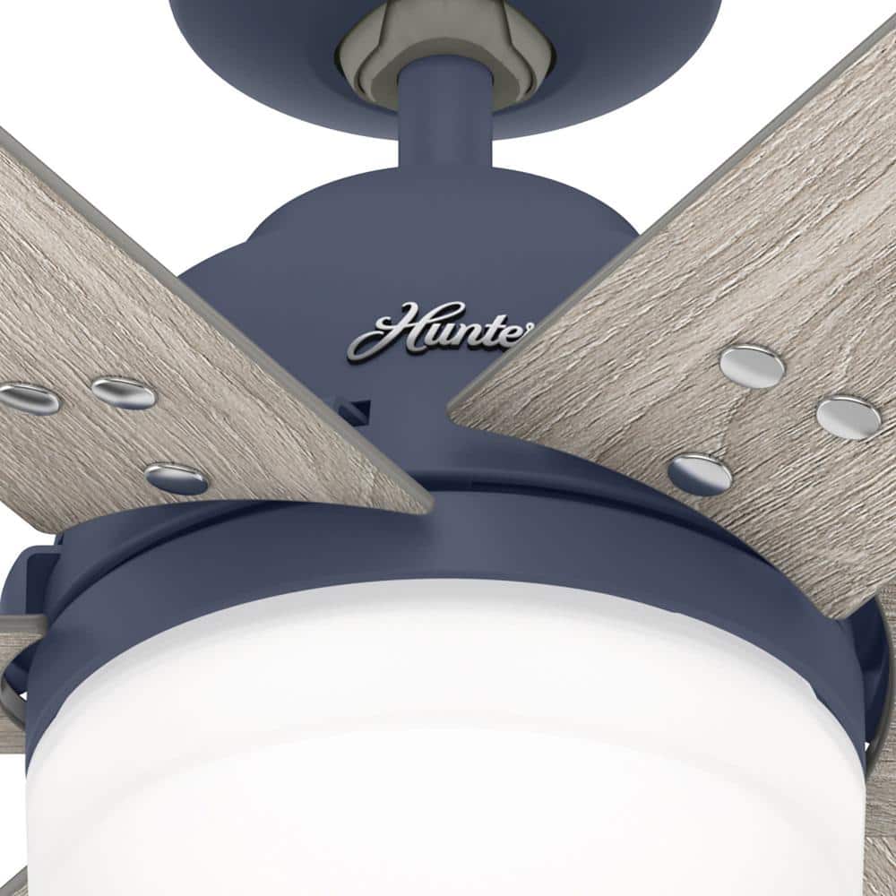 Indigo Blue 44" Pacer 6-Blade Ceiling Fan with LED Light and Remote