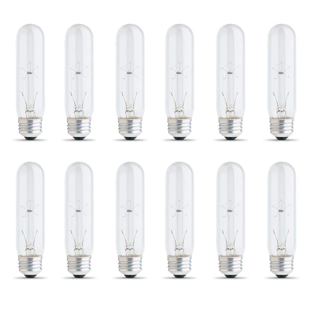 25-Watt Soft White (2700K) T10 Dimmable E26 Base Incandescent Light Bulb (12-Pack) price history on PriceWatchPro