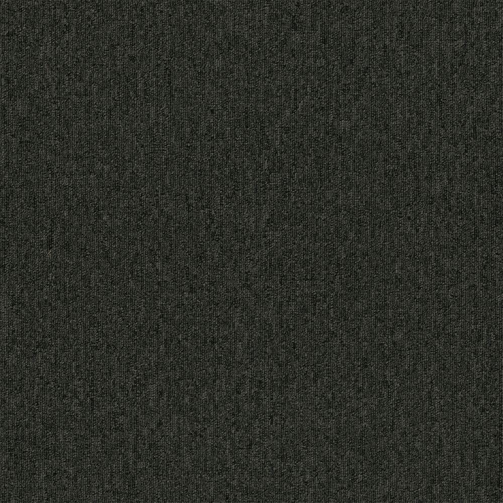 8 in. x 8 in. Loop Carpet Sample - Form Focus Tile - Color Coal price history on PriceWatchPro