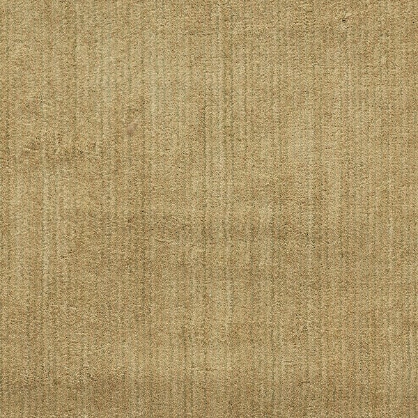 Natural Harmony 6 in. x 6 in. Texture Carpet Sample - Supreme - Color Beige/Green