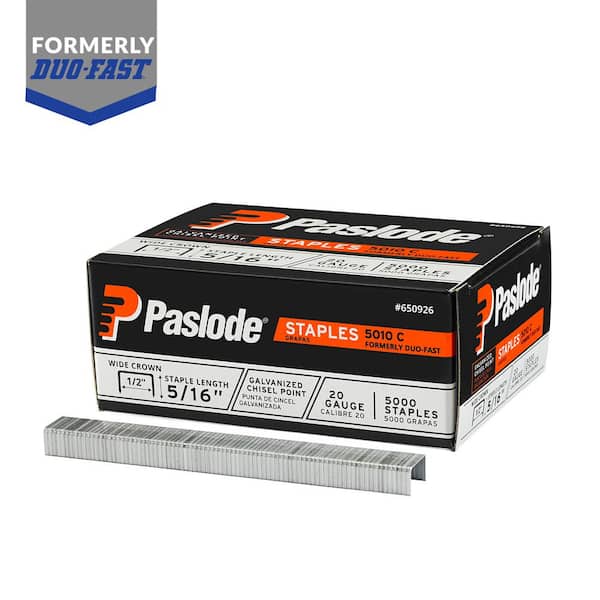 Paslode 5010C 1/2 in. W Crown 5/16 in. Leg 20-Gauge Galvanized Steel Staple (5000-Pack Per Box)