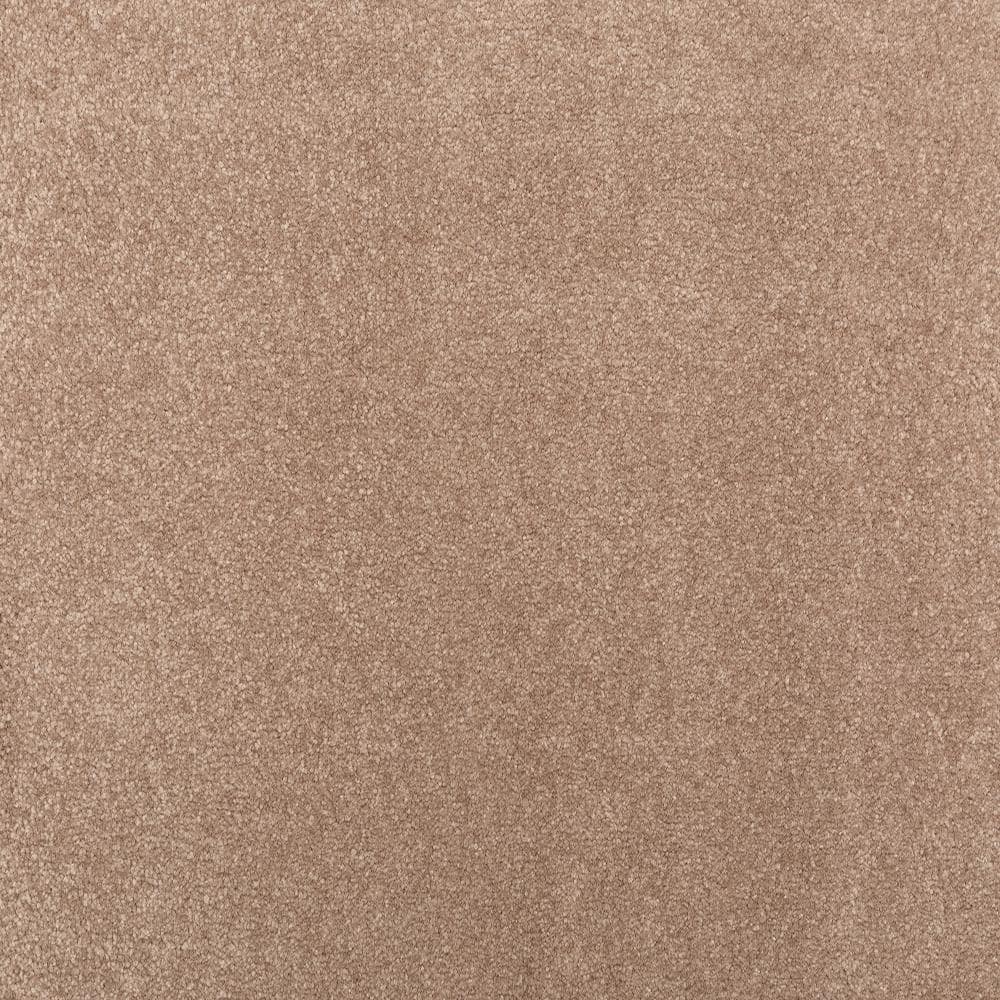 8 in. x 8 in. Texture Carpet Sample - Waking Up II - Color Embrace price history on PriceWatchPro