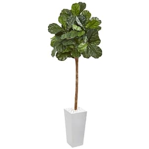 75 in. Fiddle Leaf Fig Artificial Tree in White Planter