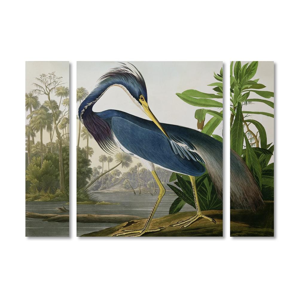 Fine Art Canvas Arianna Blue Heron - Wood Canvas India