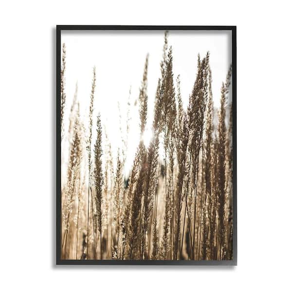 The Stupell Home Decor Collection Light Ray though Wheat Field Design by Susan Ball Framed Nature Art Print 14 in. x 11 in.