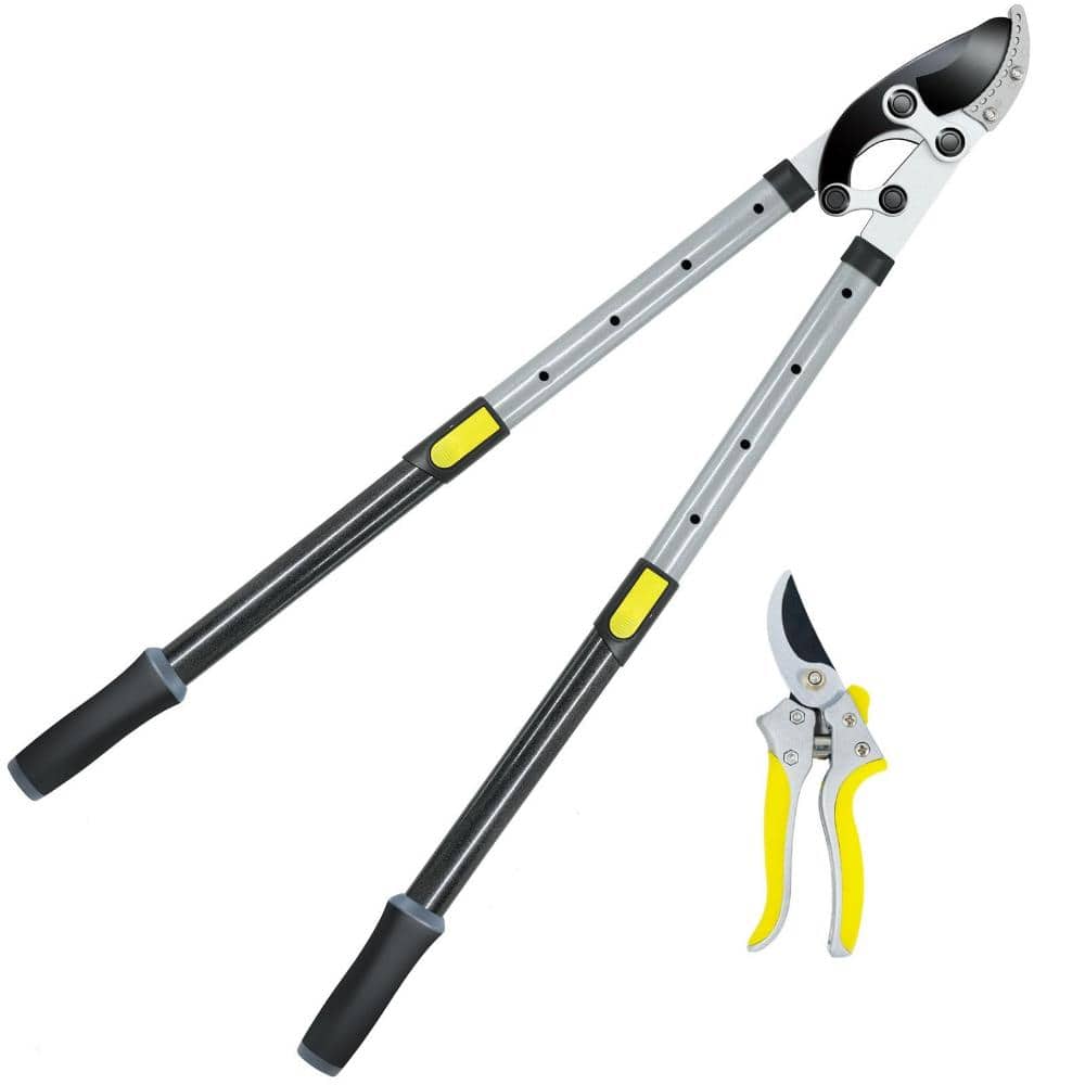 Loppers for Tree Trimming Heavy Duty with Compound Action, Labor-Saving Branch Cutter with 2 Inch Capacity price history on PriceWatchPro