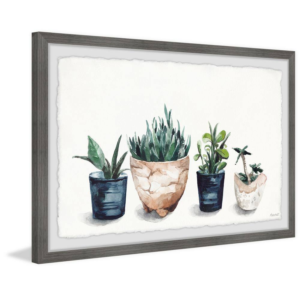 Framed Watercolor Print of Potted Plants, 8" x 12"