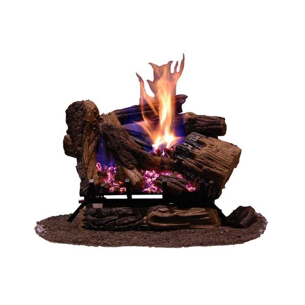 Emberglow Appalachian Oak 24 in. Vented Natural Gas Fireplace Logs with Remote