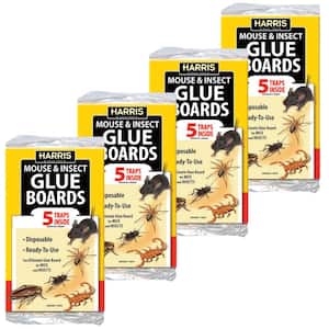 Pest Glue Board (20-Pack)
