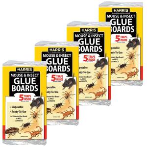 Trapper MAX Glue Boards 12 Pack - Non-Poisonous Glue Boards For Roaches, Spiders & Bugs Insect Glue Traps