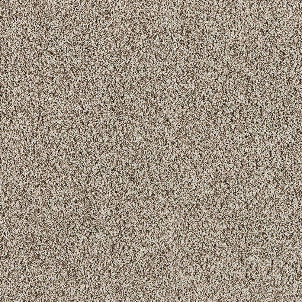 8 in. x 8 in. Texture Carpet Sample - Radiant Retreat III - Color Urban price history on PriceWatchPro