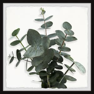 "Green Eucalyptus Leaves" by Marmont Hill Framed Nature Art Print 24 in. x 24 in.