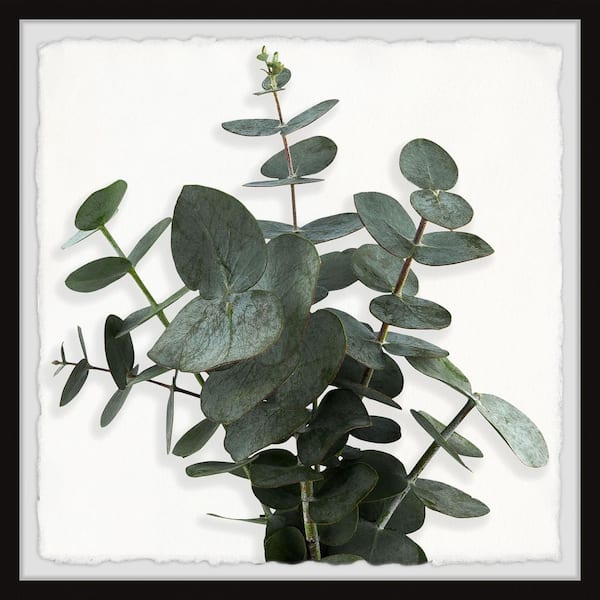 Unbranded "Green Eucalyptus Leaves" by Marmont Hill Framed Nature Art Print 24 in. x 24 in.