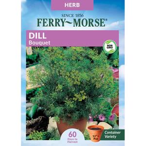 Dill Bouquet Seed