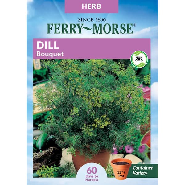 Dill Bouquet Herb Seed