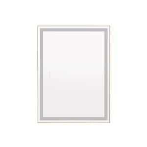 36 in. W x 48 in. H Rectangular Framed LED Wall Mounted Bathroom Vanity Mirror