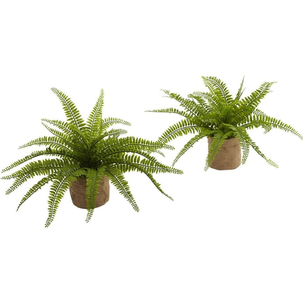 22 in. Green Boston Artificial Fern 2-Pack
