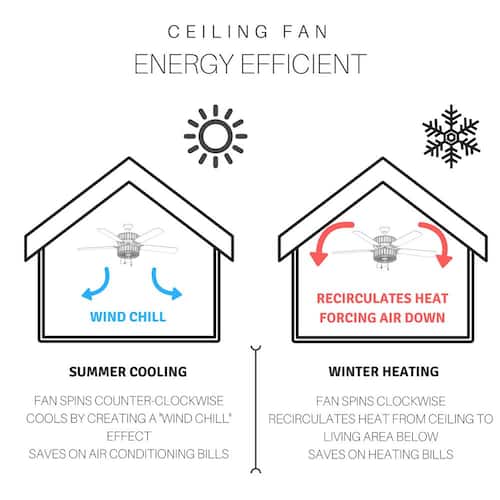 Paige 42 in. 2-Light Indoor Black Ceiling Fan with Clear Hand-Cut Glass Bowl Shade and Remote Control River of Goods Ceiling Fans With Lights