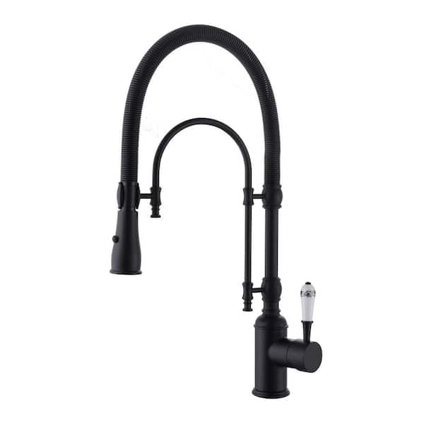 Single Handle 21 in. Kitchen Faucet with Dual Function Pull Down Sprayhead in Matte Black