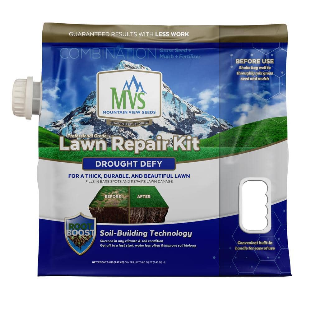 mountain-view-seeds-grass-seed