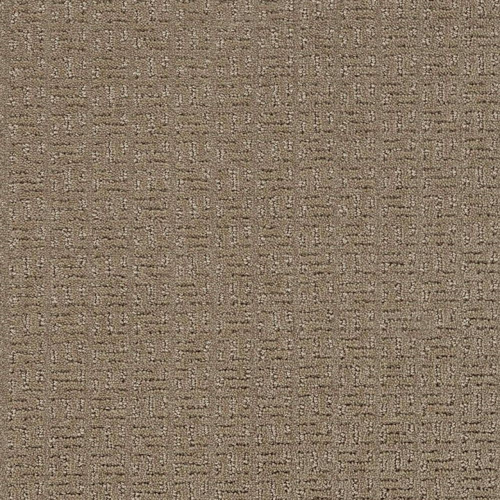 8 in. x 8 in. Loop Carpet Sample - Earthy Editions - Color Sandy price history on PriceWatchPro