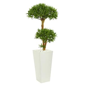 CAPHAUS 5 ft. Green Artificial Cedar Tree, Natural Faux Plants for Outside  Planter with Dried Moss, UV Resistant, Set of 2 HDFT-CHCD6001 - The Home  Depot
