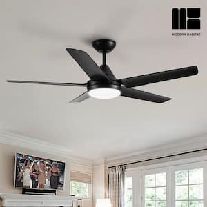 SkyView 48 in. Indoor Black Ceiling Fan with LED Light Bulbs and Remote Control