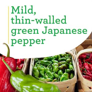 19.3 oz. Shishito Pepper (2-Pack)