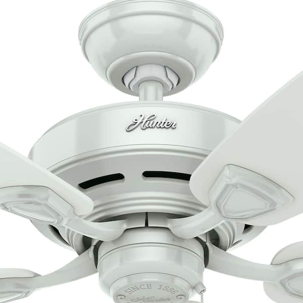 Hunter Sea Wind 48 in. Indoor/Outdoor White Ceiling Fan For Patios