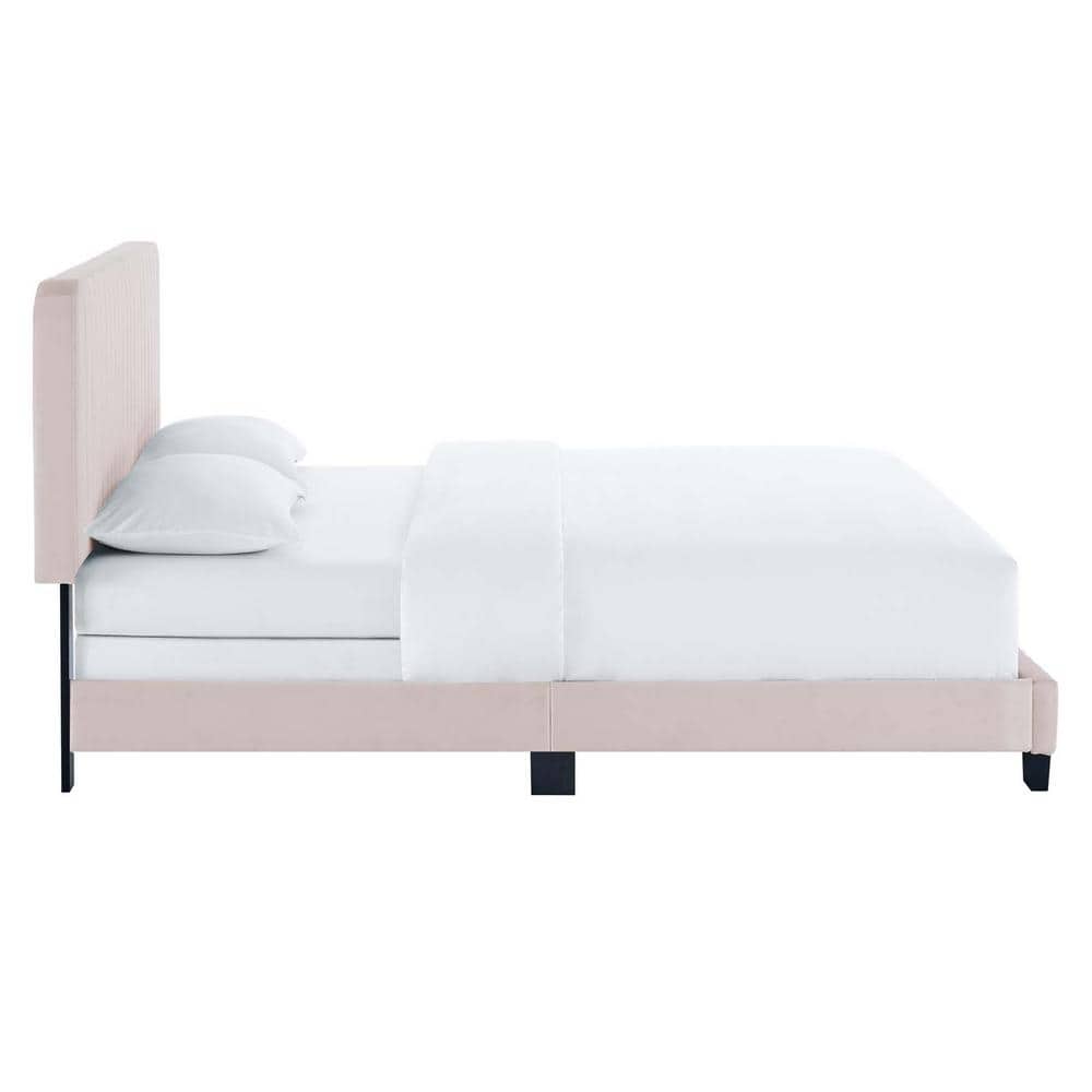 Glam Deco Elegance Channel-Tufted Velvet King Bed in Pink