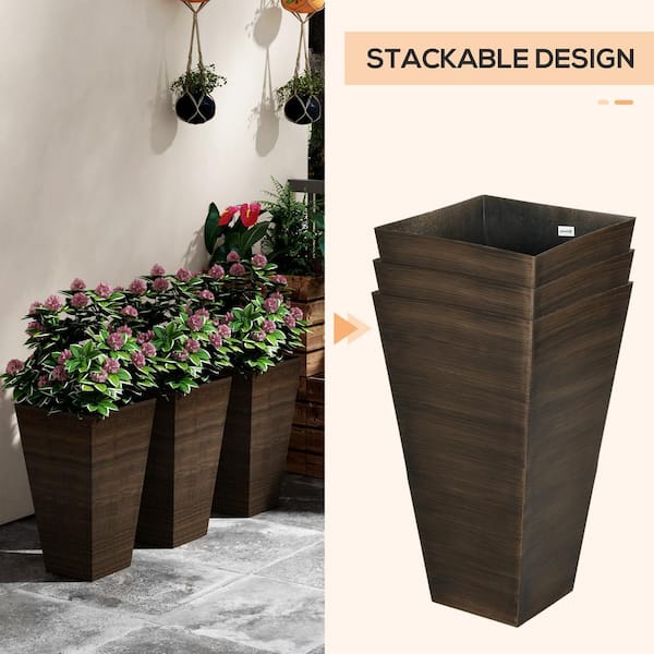 jade plant big Large Jade Plant – G & J Florist