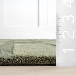 Emily Henderson Remy Crosshatch Wool Olive 6 ft. x 9 ft. Indoor/Outdoor Patio Rug