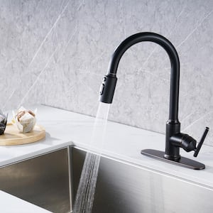 3-Mode Single Handle Pull Down Sprayer Kitchen Faucet with TurboSpray and FastMount in Stainless Steel Oil Rubbed Bronze