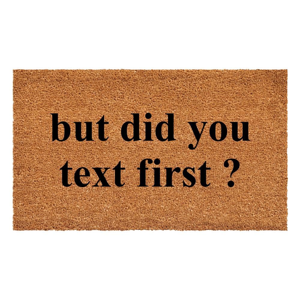 "Did You Text First Doormat, 17"" x 29""" price history on PriceWatchPro