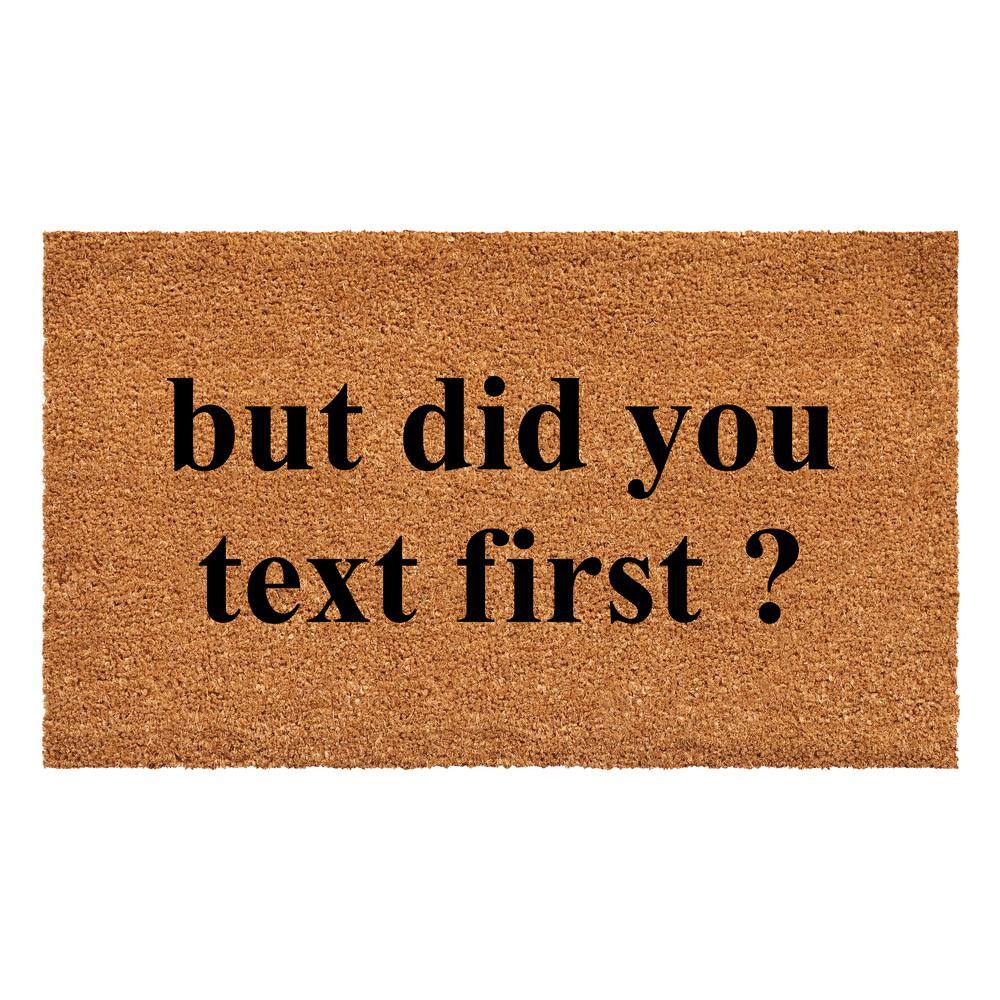 Did You Text First 24 in. x 36 in. Door Mat price history on PriceWatchPro