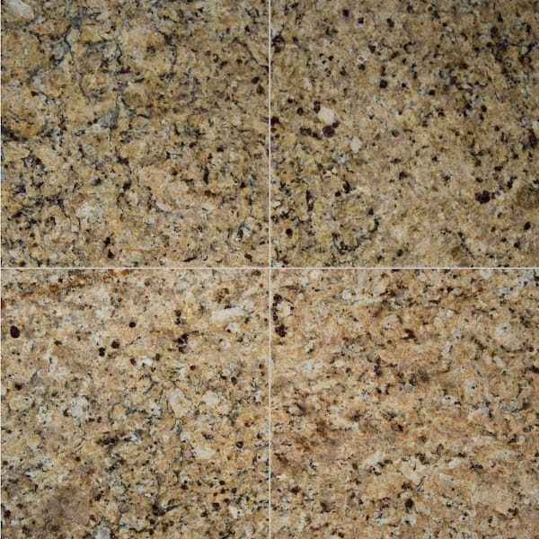 MSI Take Home Tile Sample - St. Helena Gold 4 in. x 4 in. Polished Granite Floor and Wall Tile
