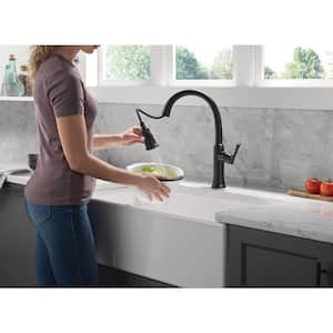 Eldridge Single Handle Pull Down Sprayer Kitchen Faucet in Matte Black