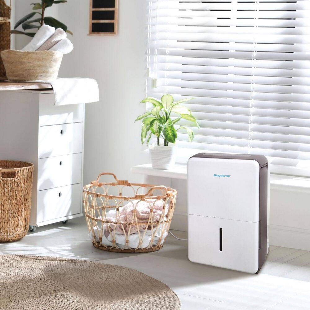 Energy Star White Portable Dehumidifier with Humidistat