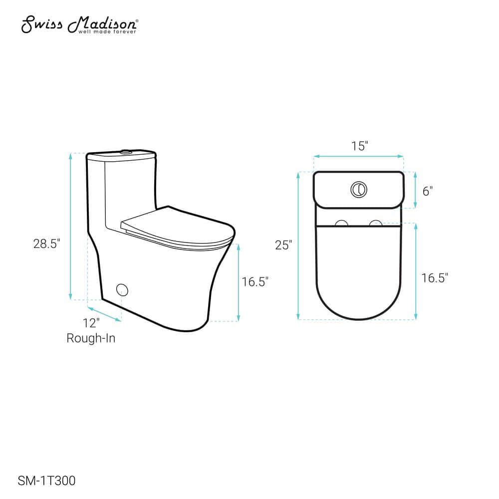 Glossy White Elongated Dual Flush One-Piece Toilet